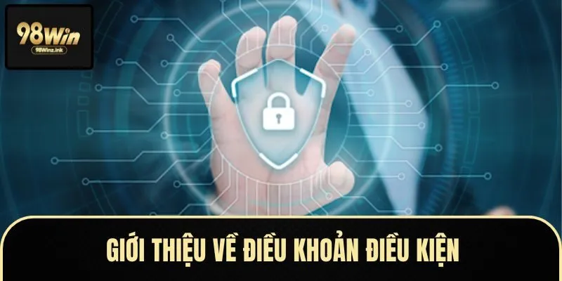 Tổng quan một số nét đặc biệt về điều khoản điều kiện