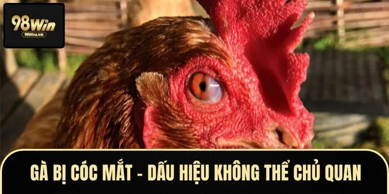 HÌNH ĐẠI DIỆN