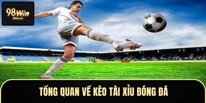 Giới thiệu vài điều đặc sắc về kèo tài xỉu bóng đá