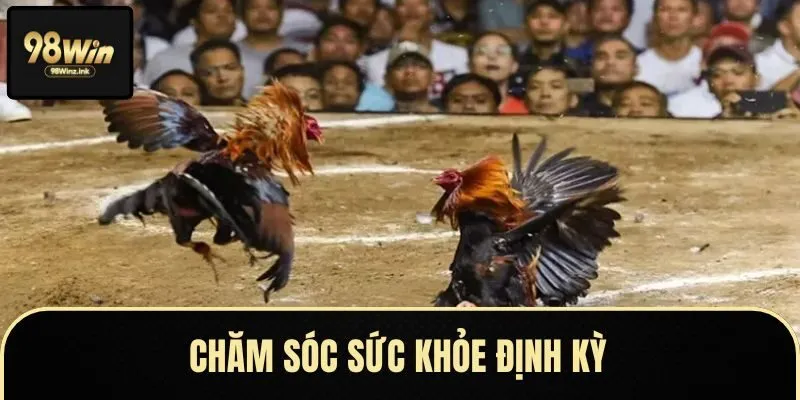 Khẩu phần ăn khoa học giúp gà phát triển toàn diện