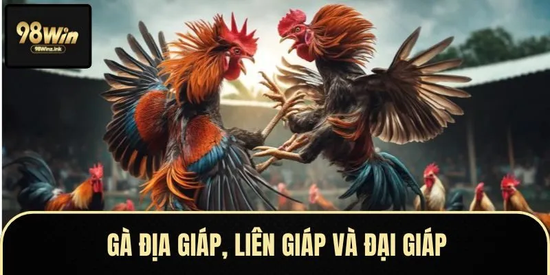 Vảy địa giáp và liên giáp thường thấy ở gà thần kê